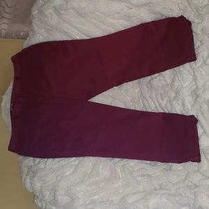 VAN Heusen Stretch Extensible Burgundy Pant. Size 14